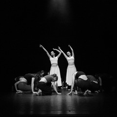 Showcase2025-Levi Baruch-0045.jpg